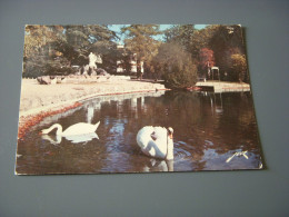 CP CARTE POSTALE HAUTE GARONNE LUCHON Le LAC Des QUINCONCES - Vierge - Andere & Zonder Classificatie