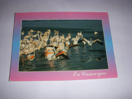 CP CARTE POSTALE GARD CAMARGUE Les FLAMANTS ROSES - ECRITE En 1990 - Sonstige & Ohne Zuordnung