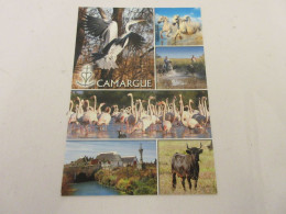 CP CARTE POSTALE GARD CAMARGUE CHEVAUX FLAMANTS HERON TAUREAU MAISON - Autres & Non Classés