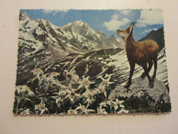 CP CARTE POSTALE FRANCE IMAGES De CHEZ NOUS CHAMOIS EDELWEISS - Ecrite En 1965   - Andere & Zonder Classificatie