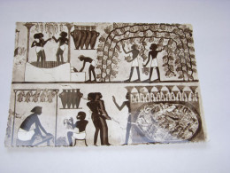 CP CARTE POSTALE EGYPTE THEBES TOMBE De NAKHT SCENE Du PRESSURAGE - Vierge - Sonstige & Ohne Zuordnung