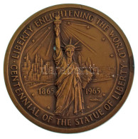 Amerikai Egyesült Államok 1965. "A Szabadságszobor 100. évfordulója 1865-1965 / Amerikai Bevándorlási Múzeum" Bronz Emlé - Zonder Classificatie