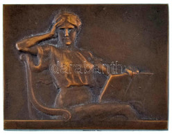 Franciaország DN "Nő Könyvvel" Kétoldalas Bronz Plakett. Szign.: Henri Dubois (41x51mm) T:AU,XF Patina France ND "Woman  - Zonder Classificatie