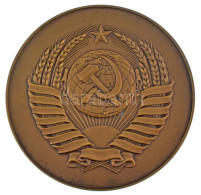 Szovjetunió ~1958-1960. "A Szovjetunió Legfelsőbb Tanácsa" Bronz Emlékérem Eredeti Dísztokban (75mm) T:UNC Patina Soviet - Unclassified