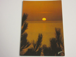 CP CARTE POSTALE COUCHER De SOLEIL Sur La MER - Ecrite - Other & Unclassified