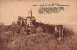 Ruines Du Chateau De Chalusset - Limoges