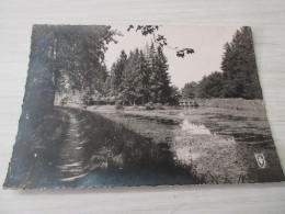 CP CARTE POSTALE CHER ARGENT Sur SAULDRE ETANG Du PUITS - Ecrite En 1953         - Argent-sur-Sauldre