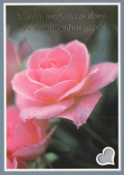 FLOWERS Vintage Ansichtskarte Postkarte CPSM #PAS221.DE - Blumen