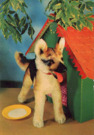 HUND Tier Vintage Ansichtskarte Postkarte CPSM #PAN823.DE - Hunde