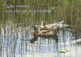 VOGEL Tier Vintage Ansichtskarte Postkarte CPSM #PAN305.DE - Vögel