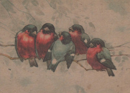 VOGEL Tier Vintage Ansichtskarte Postkarte CPSM #PAM749.DE - Birds