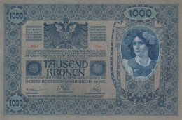 10000 KRONEN 1902 Österreich Papiergeld Banknote #PL312 - [11] Emissions Locales