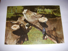 CP CARTE POSTALE MESSAGE J'ADORE Les CARESSES - VACHES - VIERGE - Mucche