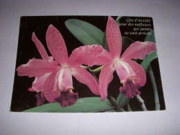 CP CARTE POSTALE MESSAGE FLEURS Que D'anxiete Pour Des Malheurs... ECRITE - Blumen