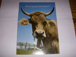 CP CARTE POSTALE MESSAGE EST-CE QUE J'AI L'AIR CLOCHE - VACHE - VIERGE - Koeien