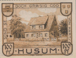 100 PFENNIG 1921 Stadt HUSUM Schleswig-Holstein UNC DEUTSCHLAND Notgeld #PI816 - [11] Local Banknote Issues
