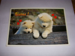 CP CARTE POSTALE MESSAGE BISOUS 2 CHIOTS - ECRITE En 1990 - Chiens