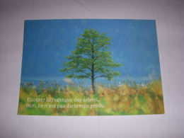 CP CARTE POSTALE MESSAGE ARBRE Ecouter La Musique Des Arbres... ECRITE - Trees