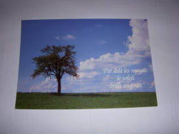 CP CARTE POSTALE MESSAGE ARBRE Et CIEL NUAGEUX Par Dela Les Nuages... ECRITE - Bäume