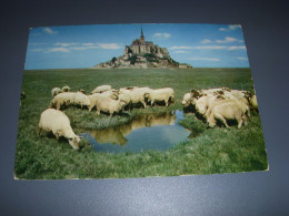 CP CARTE POSTALE MANCHE MONT SAINT MICHEL Les MOUTONS - Ecrite En 1966 - Le Mont Saint Michel