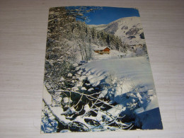 CP CARTE POSTALE L'HIVER Dans Nos MONTAGNES Apres CHUTE NEIGE - ECRITE En 1969 - Autres & Non Classés