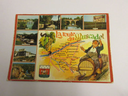 CP CARTE POSTALE LOIRE ATLANTIQUE La ROUTE Du MUSCADET CARTE TOURISTIQUE Ecrite - Other & Unclassified