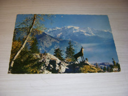 CP CARTE POSTALE Le CHAMOIS Des ALPES - ECRITE En 1964 - Other & Unclassified