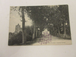 CP CARTE POSTALE LANDES POMAREZ AVENUE De DAX - Ecrite Devant Et Derriere         - Altri & Non Classificati