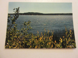 CP CARTE POSTALE LANDES MIMIZAN Le LAC COTE AQUITAINE - Ecrite En 1979           - Mimizan