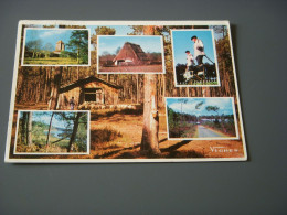 CP CARTE POSTALE LANDES CHAPELLE St MICHEL ETANG De MOLIETS - Ecrite En 1963 - Altri & Non Classificati