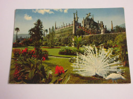 CP CARTE POSTALE ITALIE PIEMONT ISOLA BELLA LAC MAJEUR JARDINS - Ecrite  - Other & Unclassified