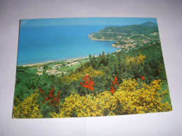 CP CARTE POSTALE ITALIE ISOLA D'ELBA - ECRITE - Otros & Sin Clasificación