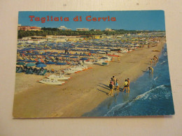 CP CARTE POSTALE ITALIE EMILIE ROMAGNE TAGLIATA DI CERVIA - Ecrite               - Altri & Non Classificati