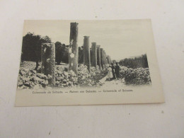 CP CARTE POSTALE ISRAEL COLONNADE De SEBASTE - Vierge - Israel