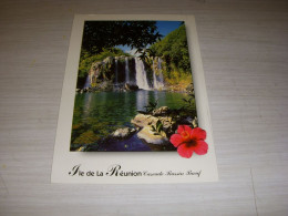 CP CARTE POSTALE ILE De La REUNION CASCADE BASSIN BOEUF - ECRITE En 2000 - Reunión