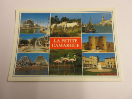 CP CARTE POSTALE HERAULT La PETITE CAMARGUE PALAVAS CAMON La GRANDE MOTTE LUNEL  - Sonstige & Ohne Zuordnung