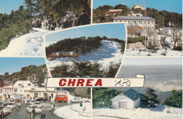 Algérie Blida  Chréa - Blida