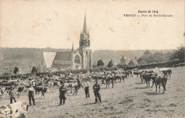 Bernay * Parc De Ravitaillement , Guerre De 1914 * Bovins - Bernay