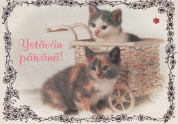 GATO GATITO Animales Vintage Tarjeta Postal CPSM #PAM553.ES - Cats