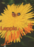 INSEKTEN Tier Vintage Ansichtskarte Postkarte CPSM #PBS476.DE - Insekten