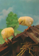 OSTERN HUHN EI Vintage Ansichtskarte Postkarte CPSM #PBO736.DE - Pâques