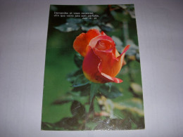 CP CARTE POSTALE RELIGIEUSE ROSE Demandez Et Vous Recevrez (Jean) - ECRITE - Other & Unclassified