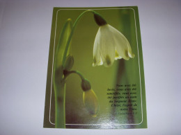 CP CARTE POSTALE RELIGIEUSE FLEURS Vous Avez Ete Laves (Corinthiens) - ECRITE - Sonstige & Ohne Zuordnung