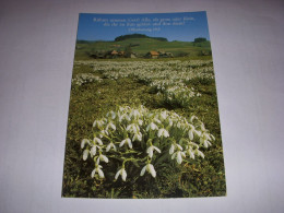 CP CARTE POSTALE RELIGIEUSE FLEURS MONTAGNE Celebre Notre Dieu (Offen.) - ECRITE - Altri & Non Classificati