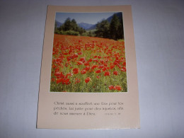 CP CARTE POSTALE RELIGIEUSE COQUELICOTS Christ A Souffert (Pierre) - ECRITE - Otros & Sin Clasificación