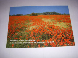 CP CARTE POSTALE RELIGIEUSE COQUELICOTS Seigneur Ouvre Mes Levres (Ps.) - ECRITE - Sonstige & Ohne Zuordnung