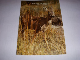 CP CARTE POSTALE RELIGIEUSE BICHE Dieu C'est La Fleur (Korinther) - ECRITE - Autres & Non Classés