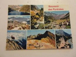 CP CARTE POSTALE PYRENEES SOUVENIRS VUES DIVERSES - Ecrite En 1980               - Midi-Pyrénées