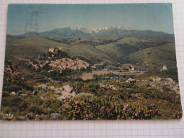 CP CARTE POSTALE PYRENEES ORIENTALES CASTELNOU Le VILLAGE FEODAL Et Le CANIGOU   - Autres & Non Classés