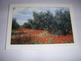 CP CARTE POSTALE PROVENCE OLIVIERS Et CHAMPS DE COQUELICOTS - ECRITE En 1993 - Provence-Alpes-Côte D'Azur